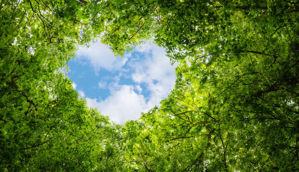Naturschutz als Ziel im PV Großhandel